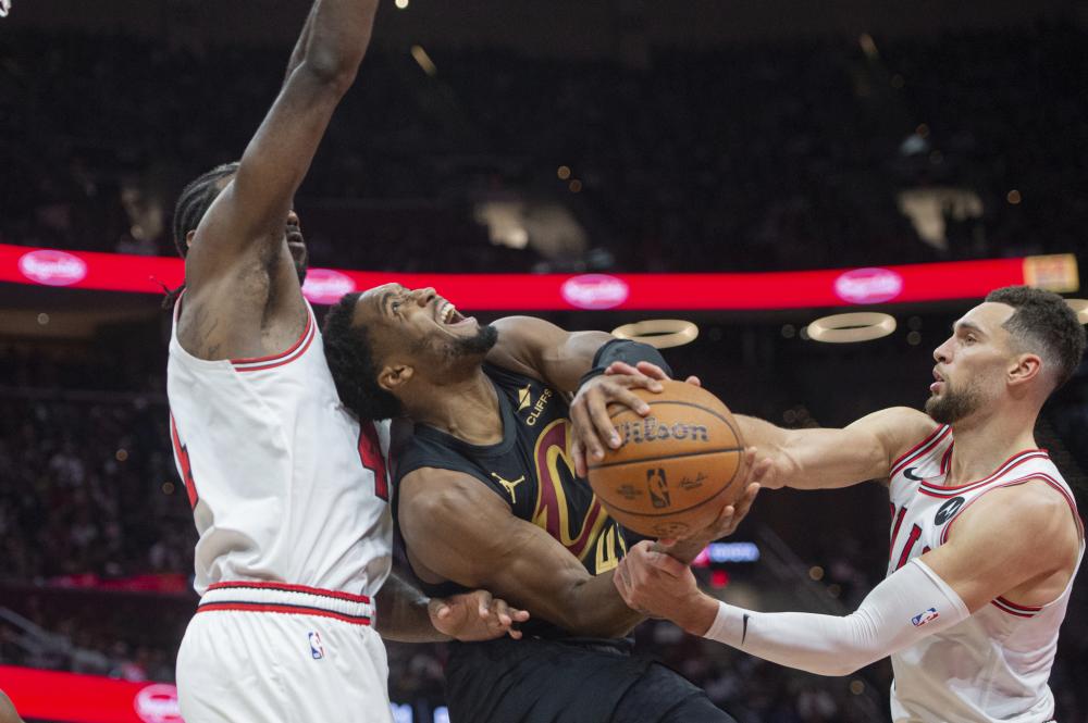 有所不同 有所不同