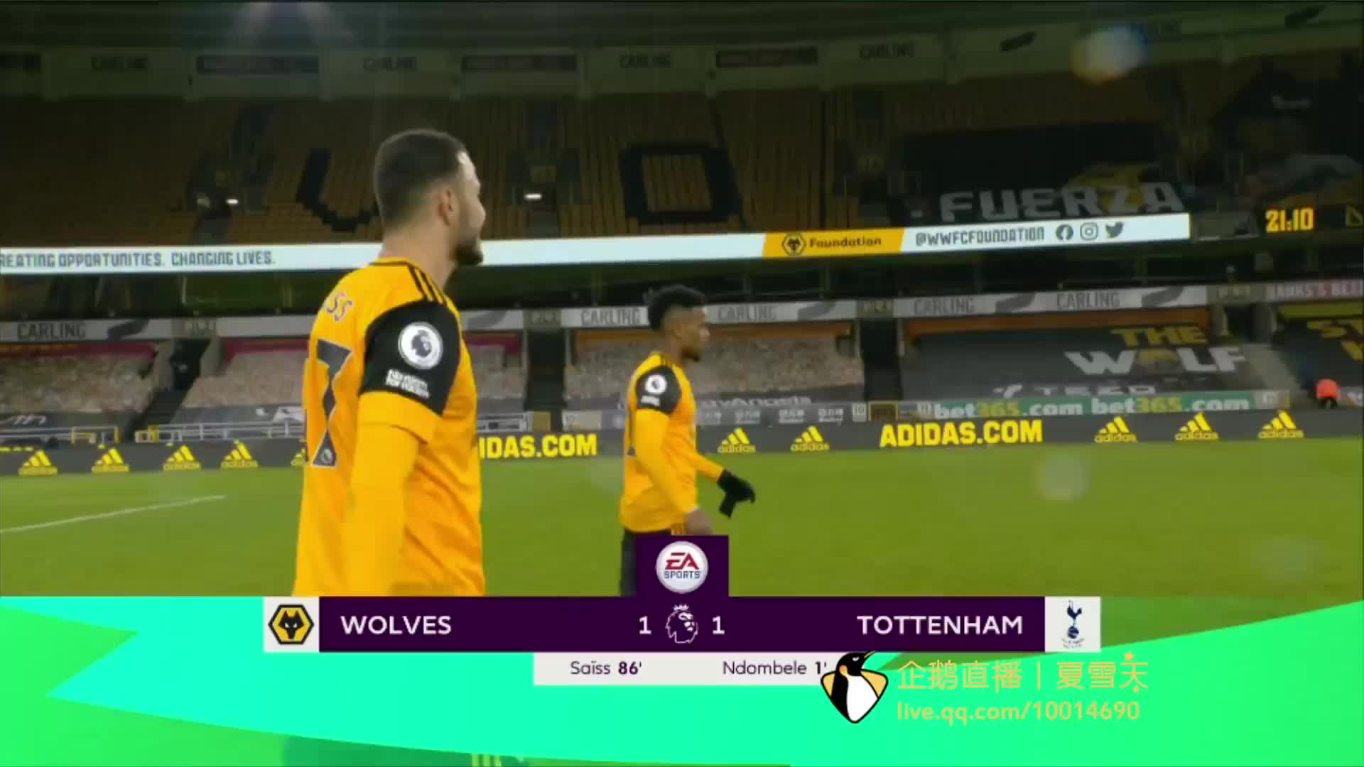 他们已经输 他们已经输